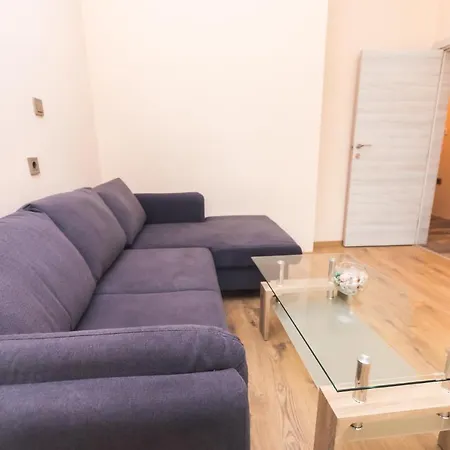 Апартамент за гости боряна *