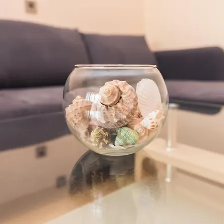 за гости боряна Appartement